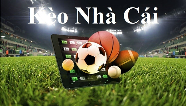 fnbet-Giải quyết nhanh chóng với link truy cập nhanh!